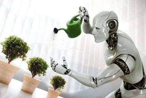 讓家庭機(jī)器人成標(biāo)配 我們還需跨越哪些山丘？